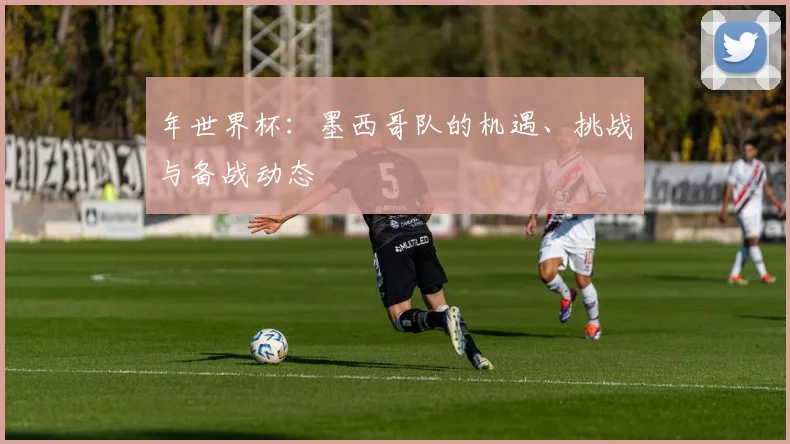 年世界杯：墨西哥队的机遇、挑战与备战动态