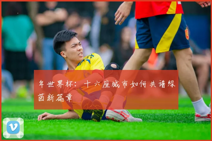年世界杯：十六座城市如何共谱绿茵新篇章