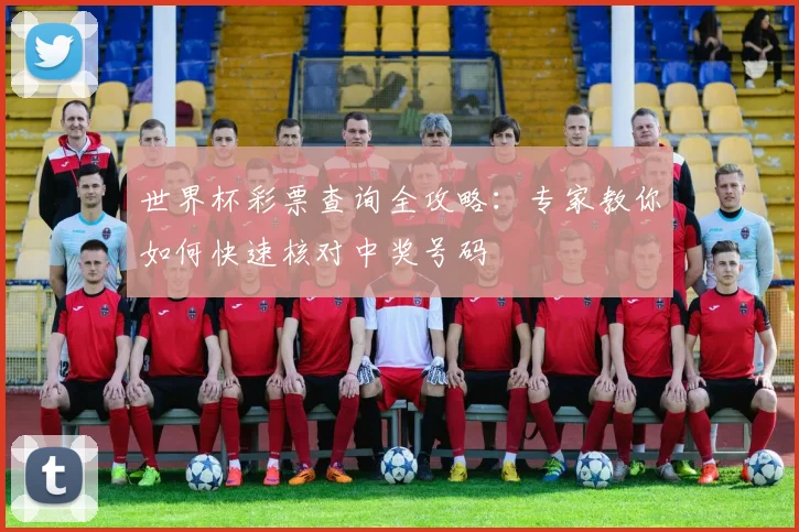 世界杯彩票查询全攻略：专家教你如何快速核对中奖号码