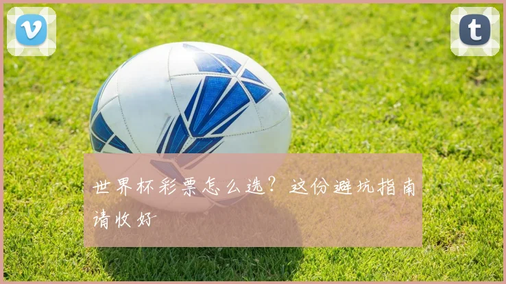 世界杯彩票怎么选？这份避坑指南请收好