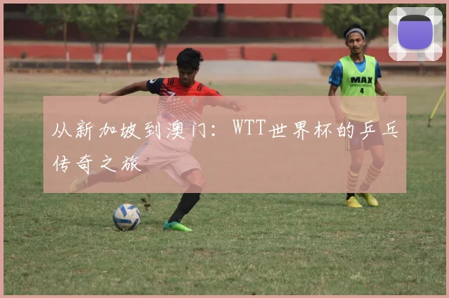 从新加坡到澳门：WTT世界杯的乒乓传奇之旅
