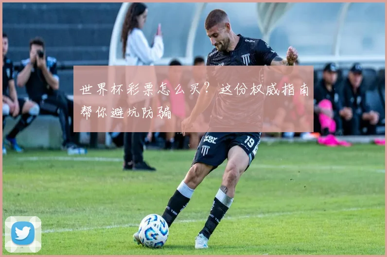 世界杯彩票怎么买？这份权威指南帮你避坑防骗