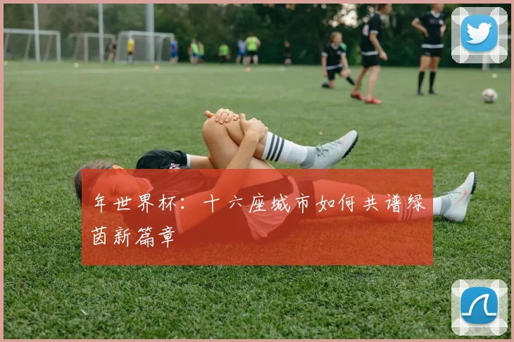年世界杯：十六座城市如何共谱绿茵新篇章