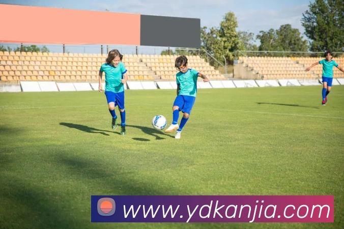 App Interface Preview